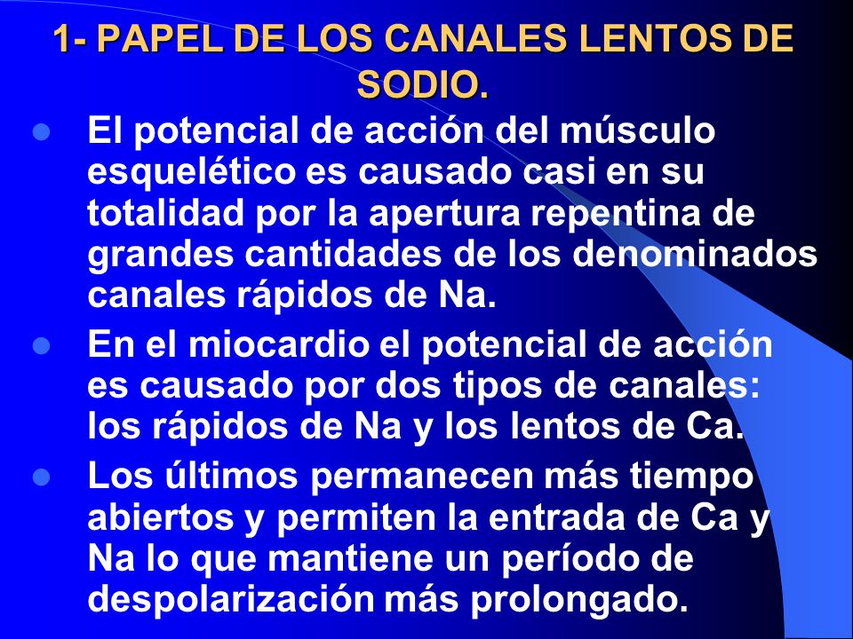 1- PAPEL DE LOS CANALES LENTOS DE SODIO.