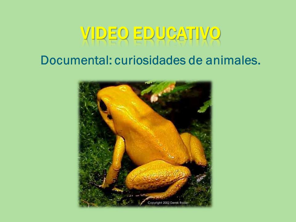 Documental: curiosidades de animales.