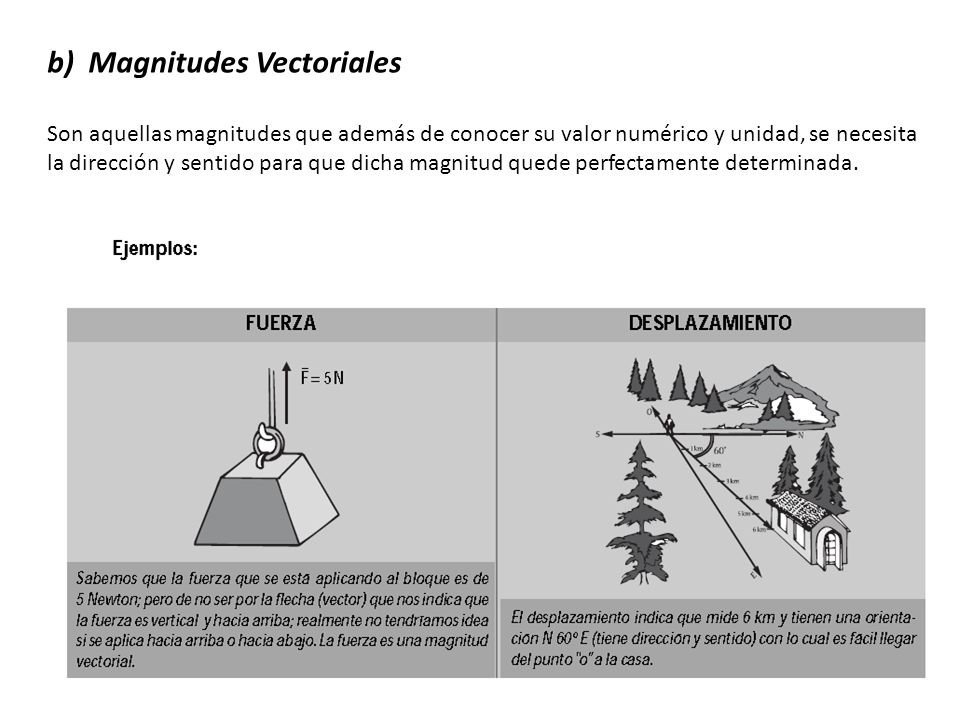 b) Magnitudes Vectoriales