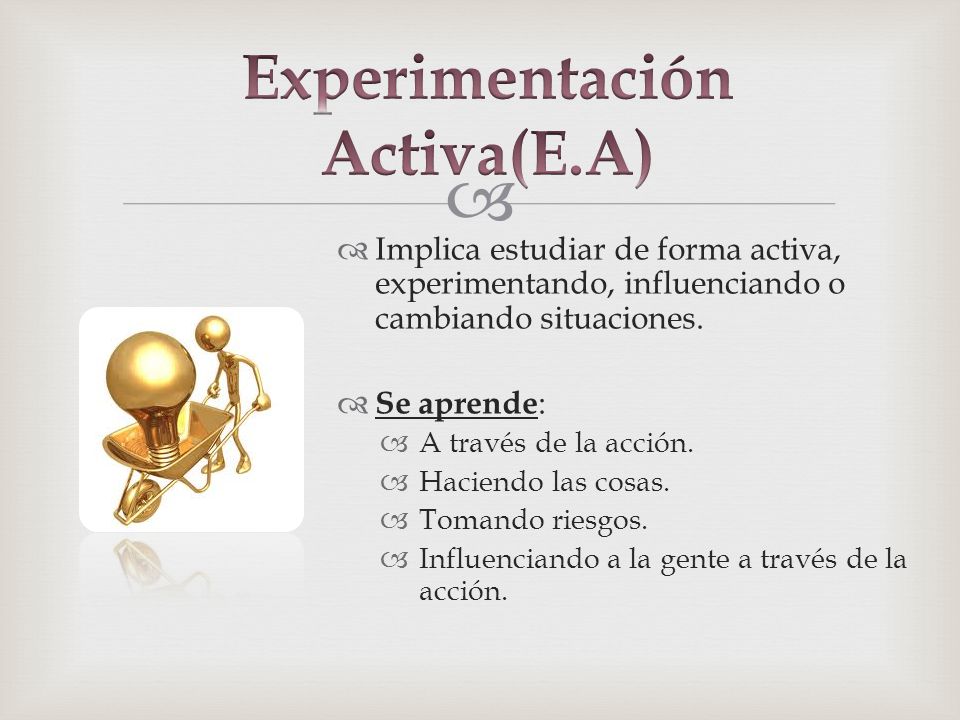 Experimentación Activa(E.A)