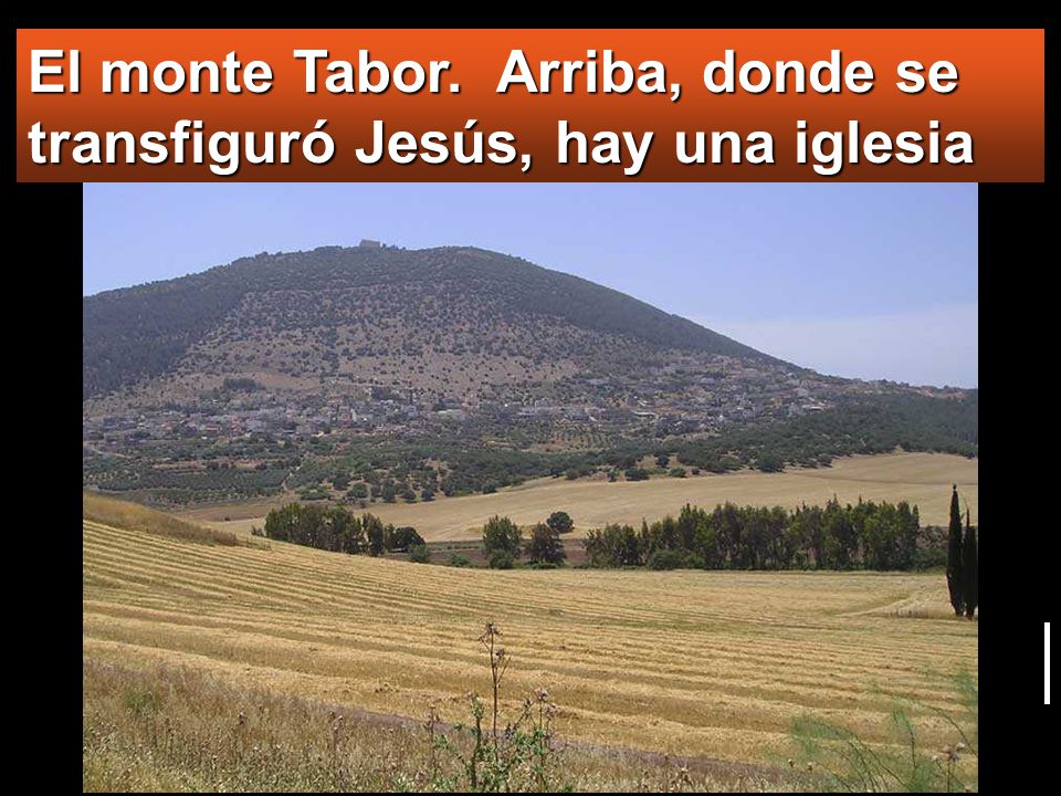 El monte Tabor. Arriba, donde se transfiguró Jesús, hay una iglesia