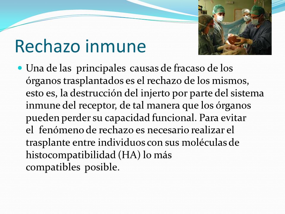 Rechazo inmune