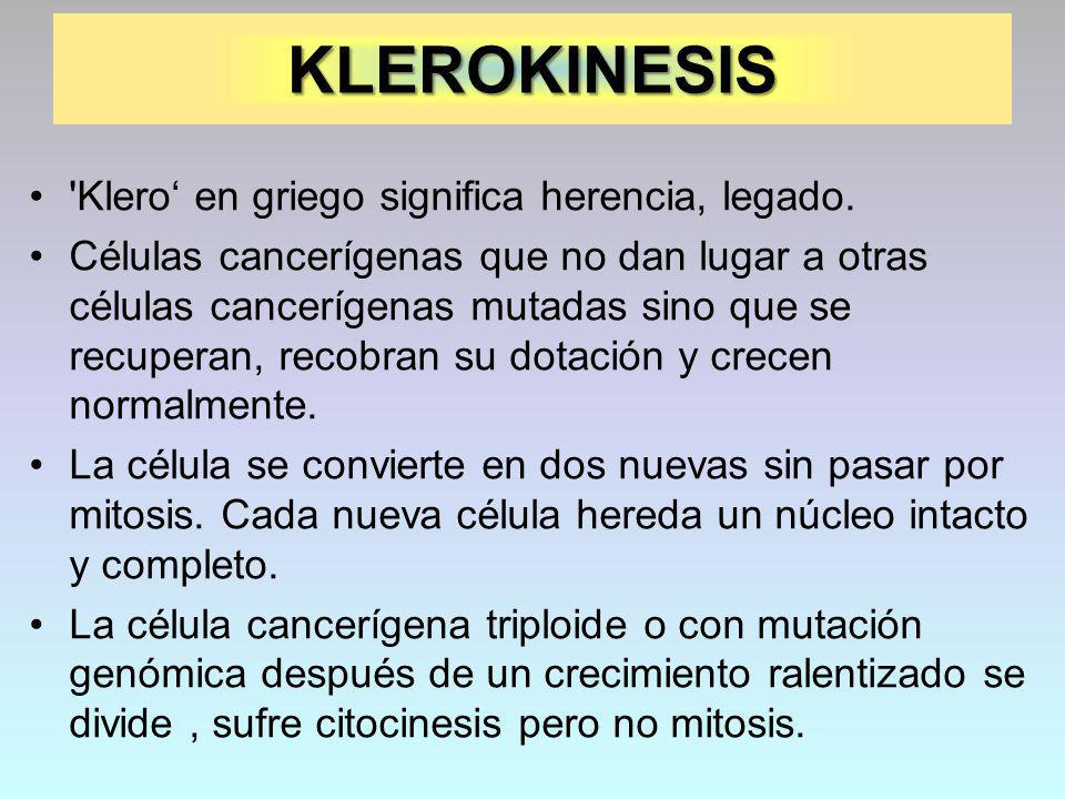 KLEROKINESIS Klero‘ en griego significa herencia, legado.