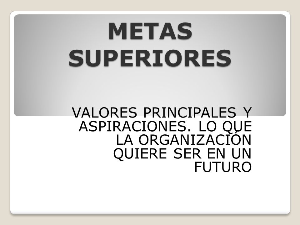 METAS SUPERIORES VALORES PRINCIPALES Y ASPIRACIONES. LO QUE LA ORGANIZACIÓN QUIERE SER EN UN FUTURO