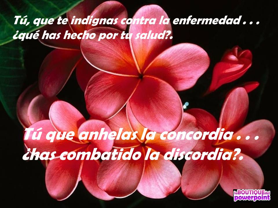 Tú que anhelas la concordia ¿has combatido la discordia .