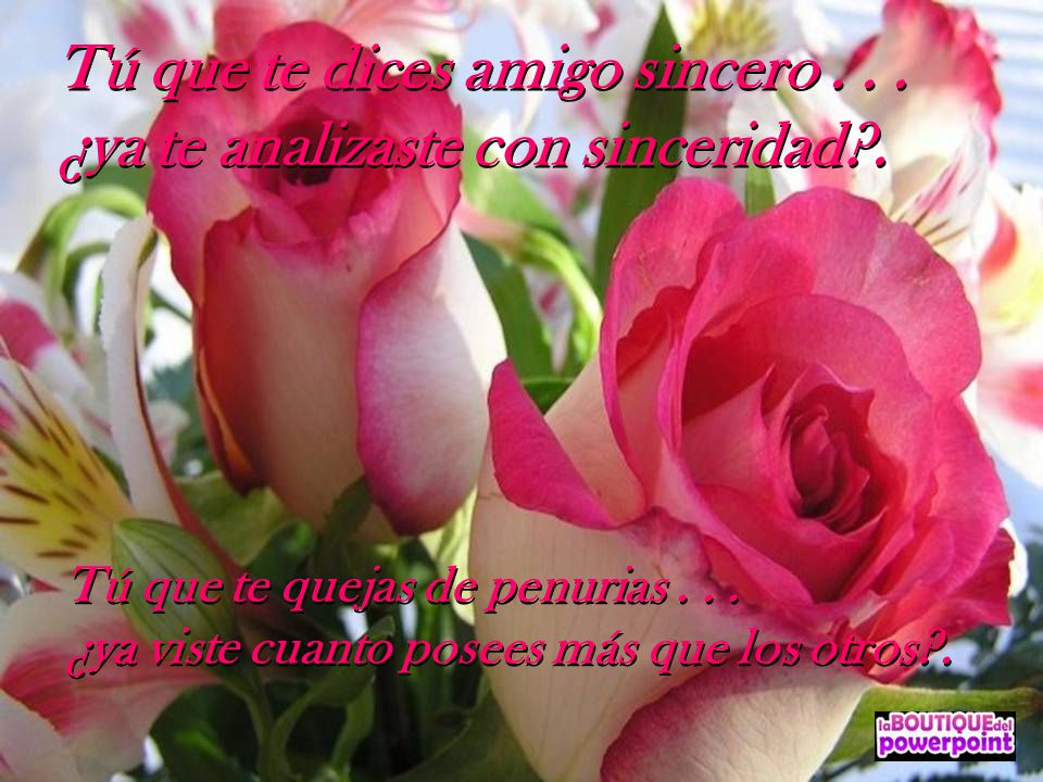 Tú que te dices amigo sincero ¿ya te analizaste con sinceridad .