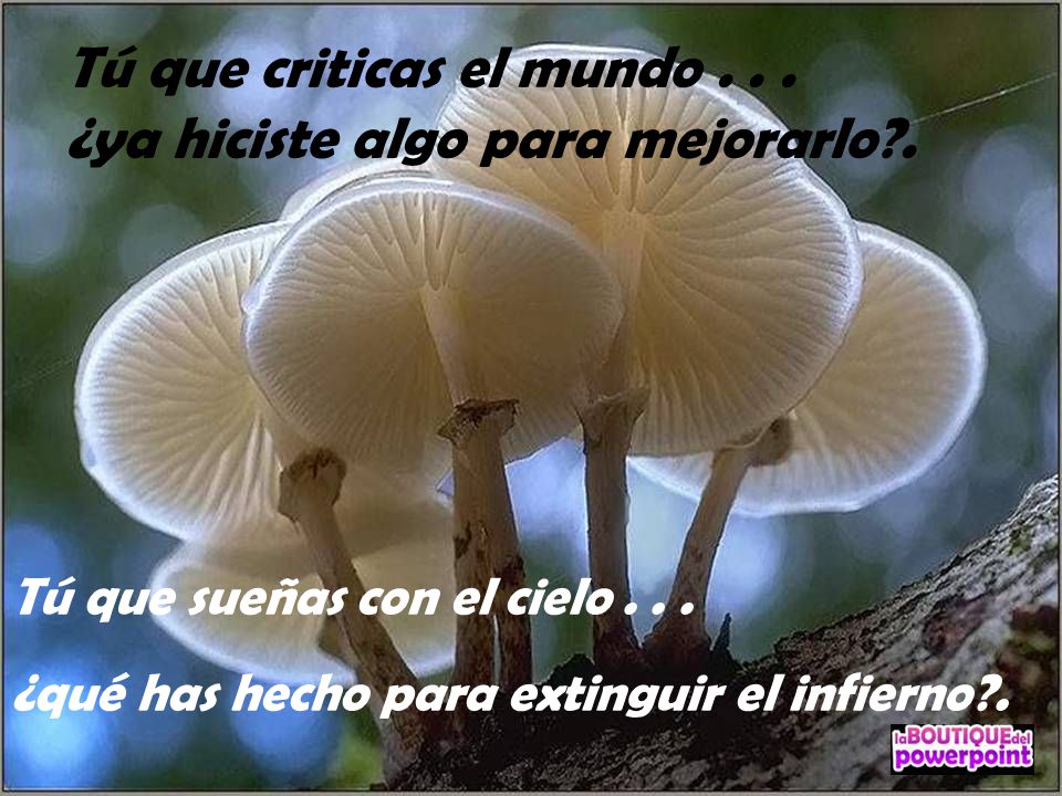 Tú que criticas el mundo ¿ya hiciste algo para mejorarlo .