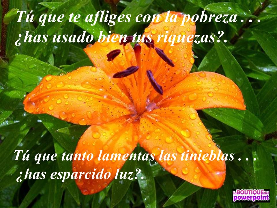 Tú que te afliges con la pobreza ¿has usado bien tus riquezas .