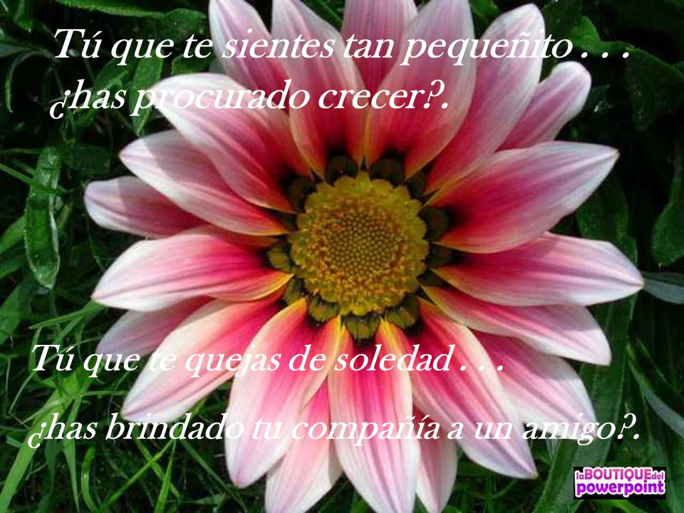 Tú que te sientes tan pequeñito ¿has procurado crecer .
