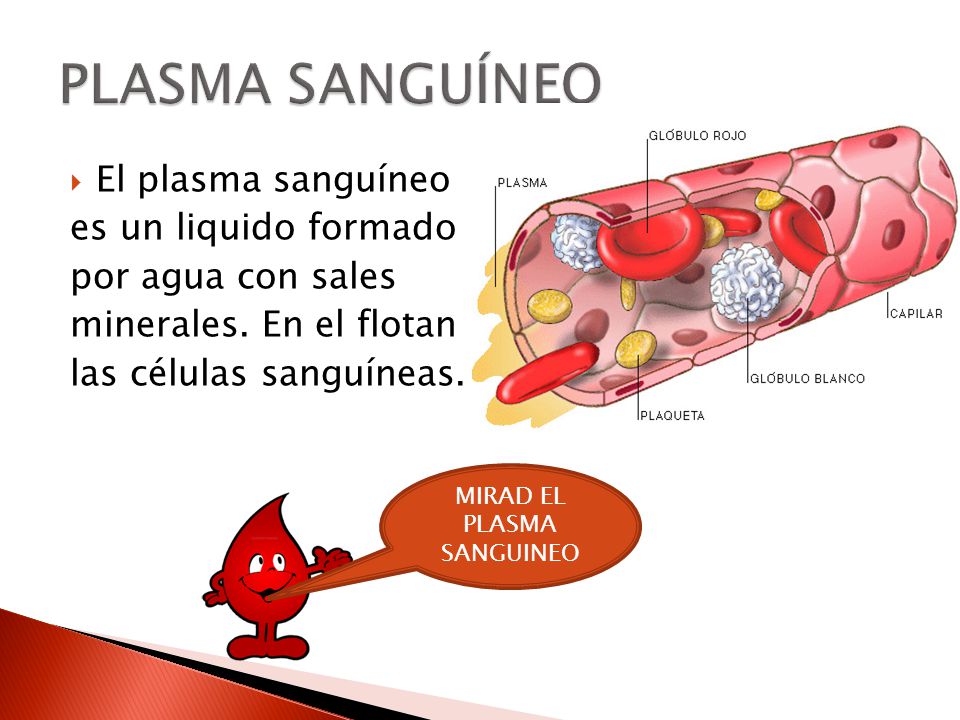 PLASMA SANGUÍNEO El plasma sanguíneo es un liquido formado