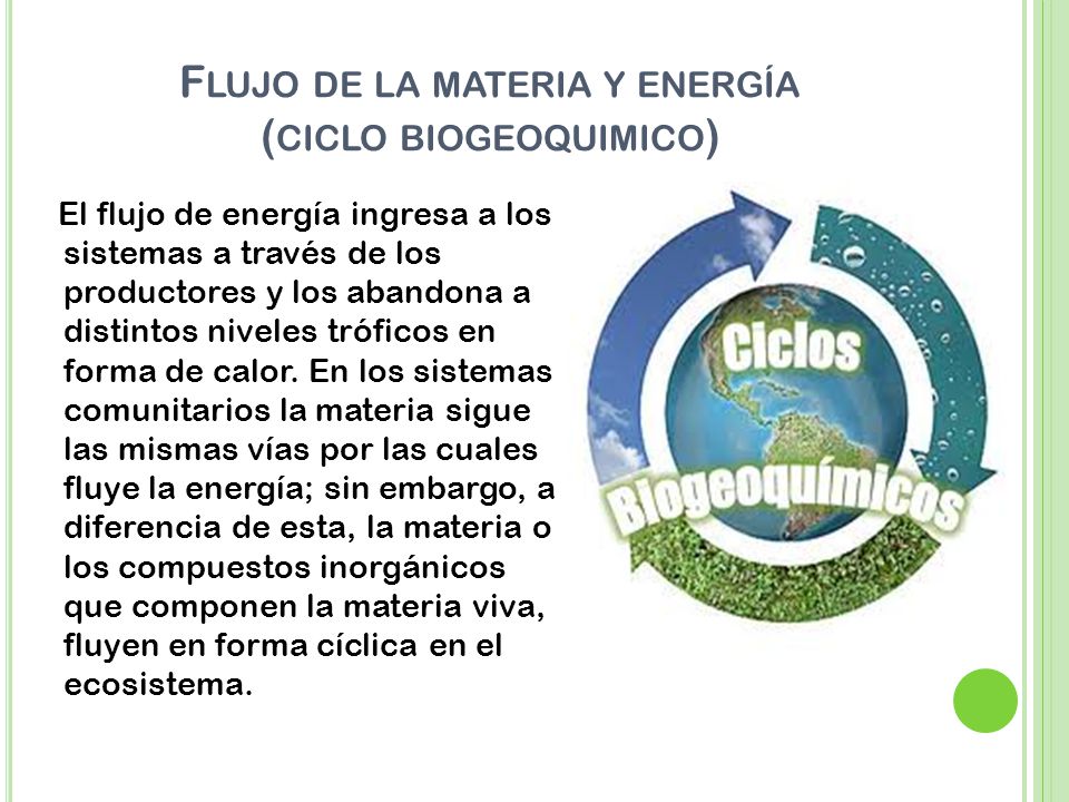 Flujo de la materia y energía (ciclo biogeoquimico)
