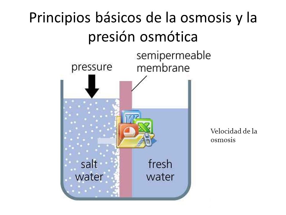 Principios básicos de la osmosis y la presión osmótica