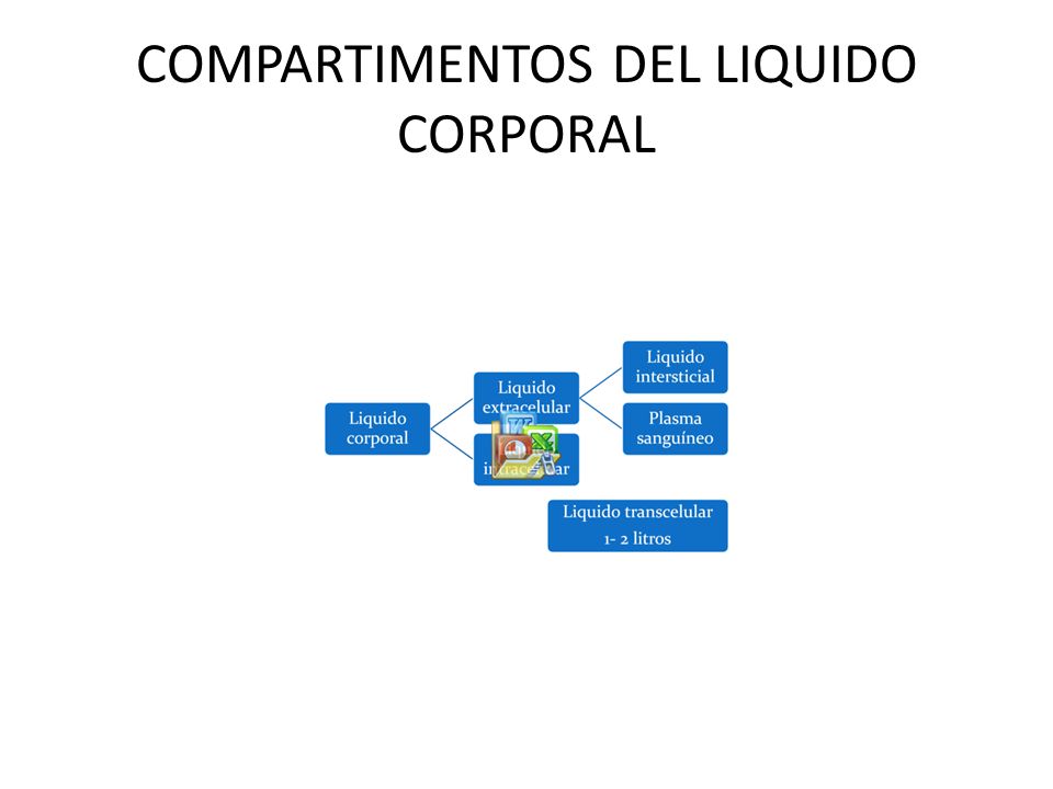 COMPARTIMENTOS DEL LIQUIDO CORPORAL