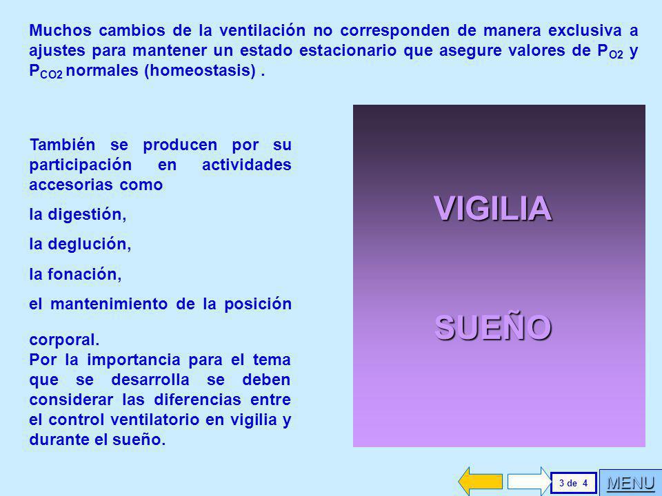 Muchos cambios de la ventilación no corresponden de manera exclusiva a ajustes para mantener un estado estacionario que asegure valores de PO2 y PCO2 normales (homeostasis) .