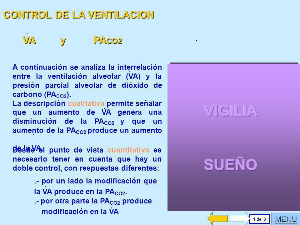 VIGILIA SUEÑO CONTROL DE LA VENTILACION VA y PACO2 . .