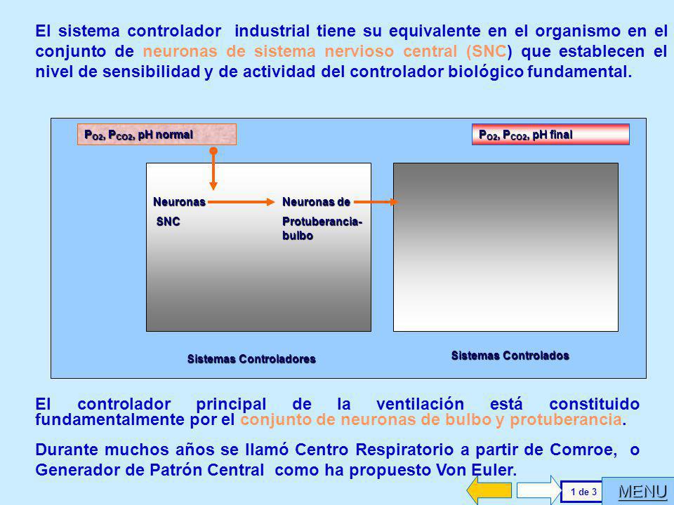 El sistema controlador industrial tiene su equivalente en el organismo en el conjunto de neuronas de sistema nervioso central (SNC) que establecen el nivel de sensibilidad y de actividad del controlador biológico fundamental.