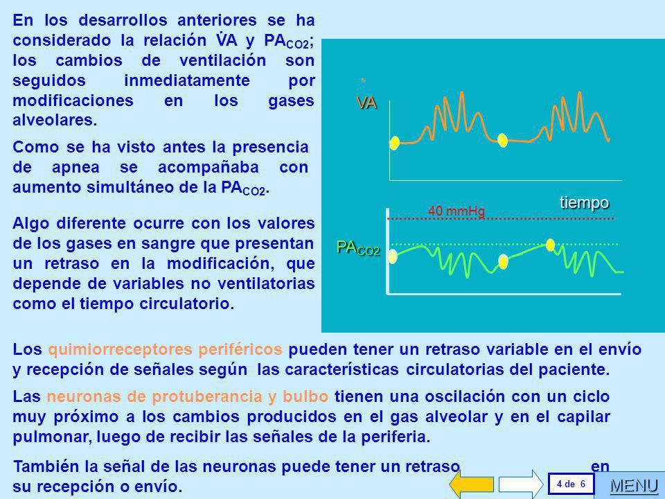 En los desarrollos anteriores se ha considerado la relación VA y PACO2; los cambios de ventilación son seguidos inmediatamente por modificaciones en los gases alveolares.