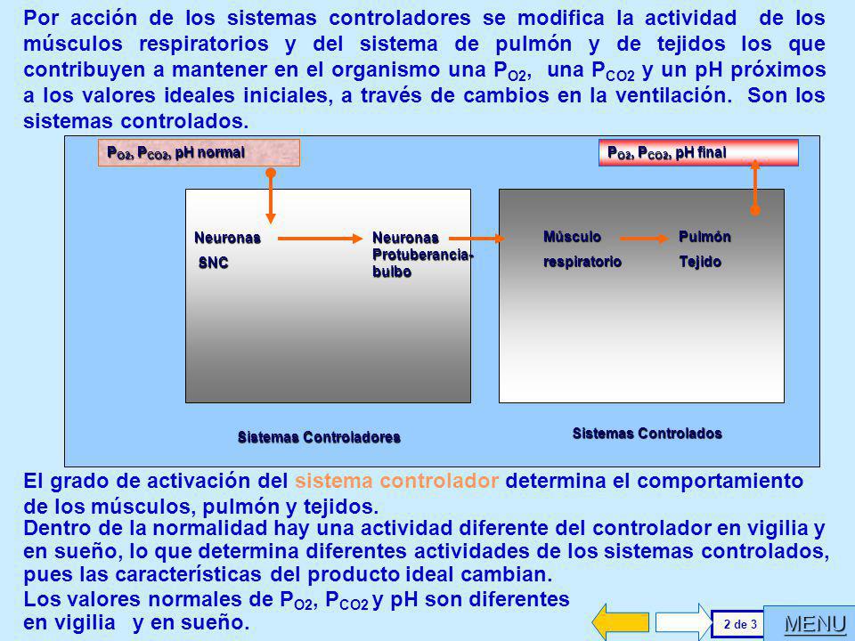 Por acción de los sistemas controladores se modifica la actividad de los músculos respiratorios y del sistema de pulmón y de tejidos los que contribuyen a mantener en el organismo una PO2, una PCO2 y un pH próximos a los valores ideales iniciales, a través de cambios en la ventilación. Son los sistemas controlados.