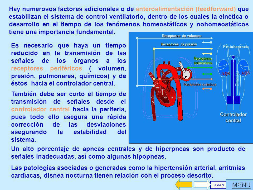 Hay numerosos factores adicionales o de anteroalimentación (feedforward) que estabilizan el sistema de control ventilatorio, dentro de los cuales la cinética o desarrollo en el tiempo de los fenómenos homeostáticos y nohomeostáticos tiene una importancia fundamental.