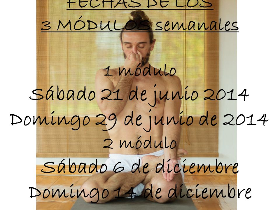 FECHAS DE LOS 3 MÓDULOS semanales 1 módulo Sábado 21 de junio 2014 Domingo 29 de junio de módulo Sábado 6 de diciembre Domingo 14 de diciembre