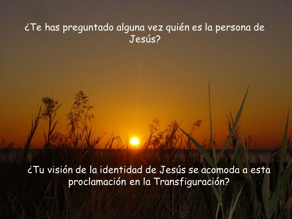 ¿Te has preguntado alguna vez quién es la persona de Jesús
