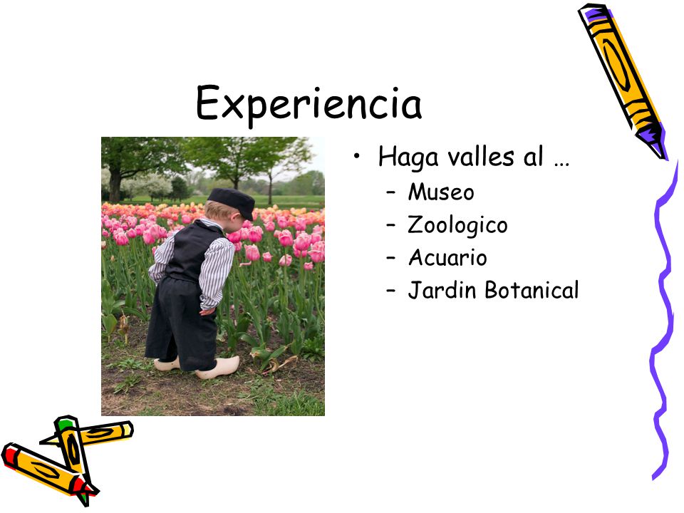 Experiencia Haga valles al … Museo Zoologico Acuario Jardin Botanical