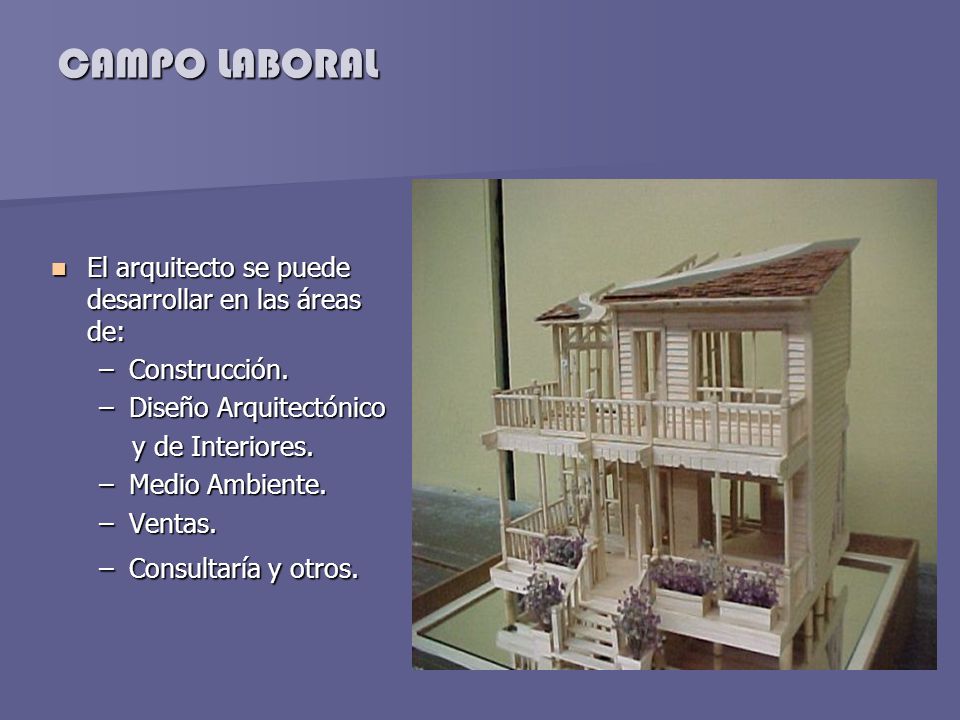 CAMPO LABORAL El arquitecto se puede desarrollar en las áreas de: