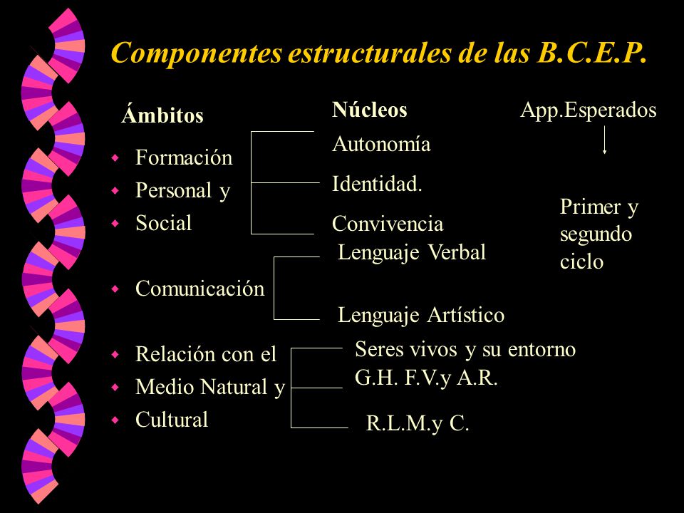 Componentes estructurales de las B.C.E.P.