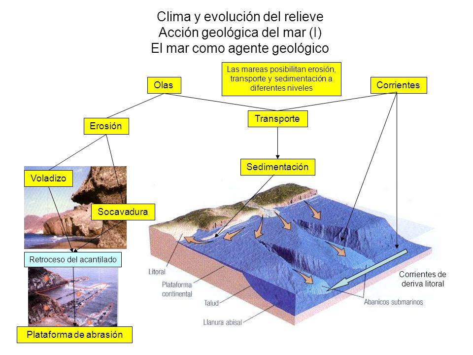 Clima y evolución del relieve Acción geológica del mar (I) El mar como agente geológico