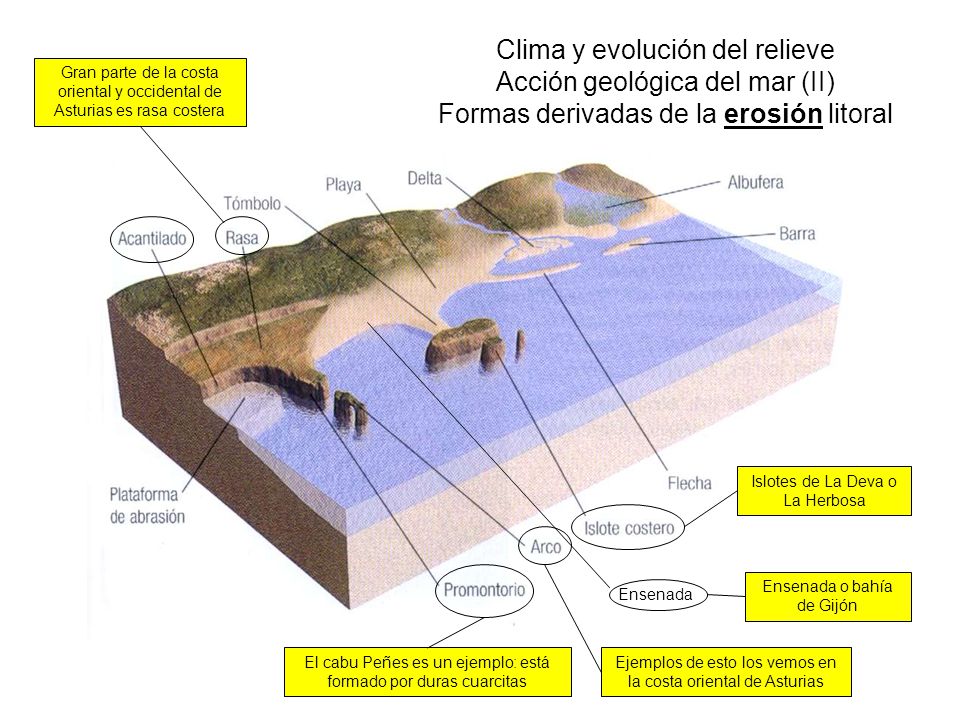 Clima y evolución del relieve Acción geológica del mar (II) Formas derivadas de la erosión litoral