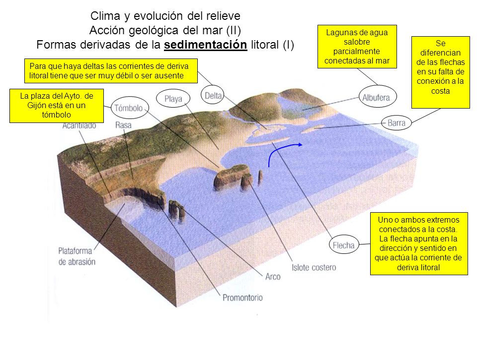 Clima y evolución del relieve Acción geológica del mar (II) Formas derivadas de la sedimentación litoral (I)