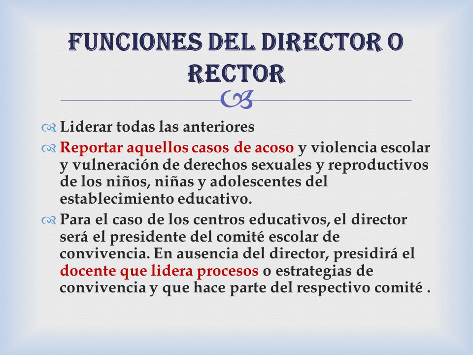 Funciones del director o rector