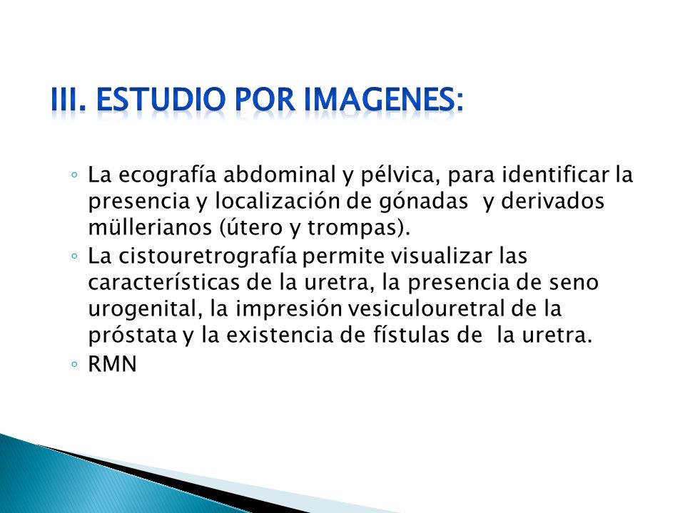 III. ESTUDIO POR IMAGENES: