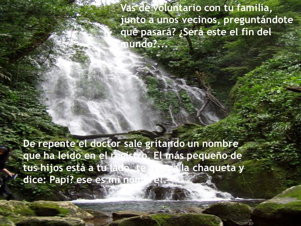Vas de voluntario con tu familia, junto a unos vecinos, preguntándote qué pasará ¿Será este el fin del mundo ...