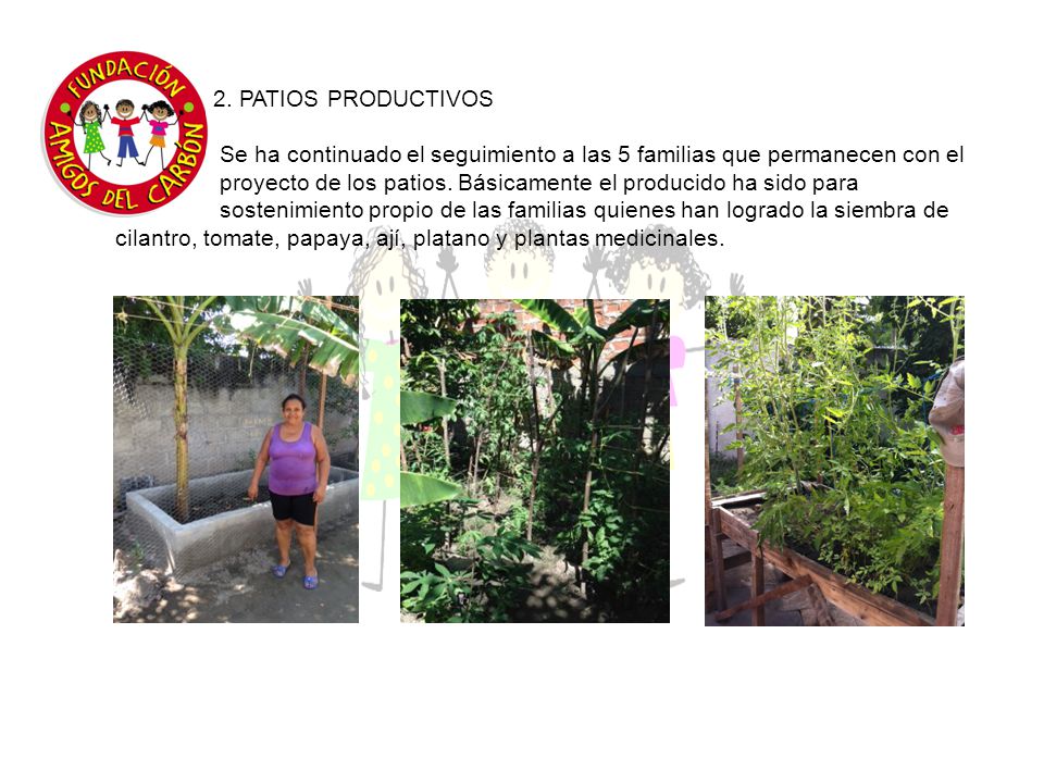 2. PATIOS PRODUCTIVOS Se ha continuado el seguimiento a las 5 familias que permanecen con el.