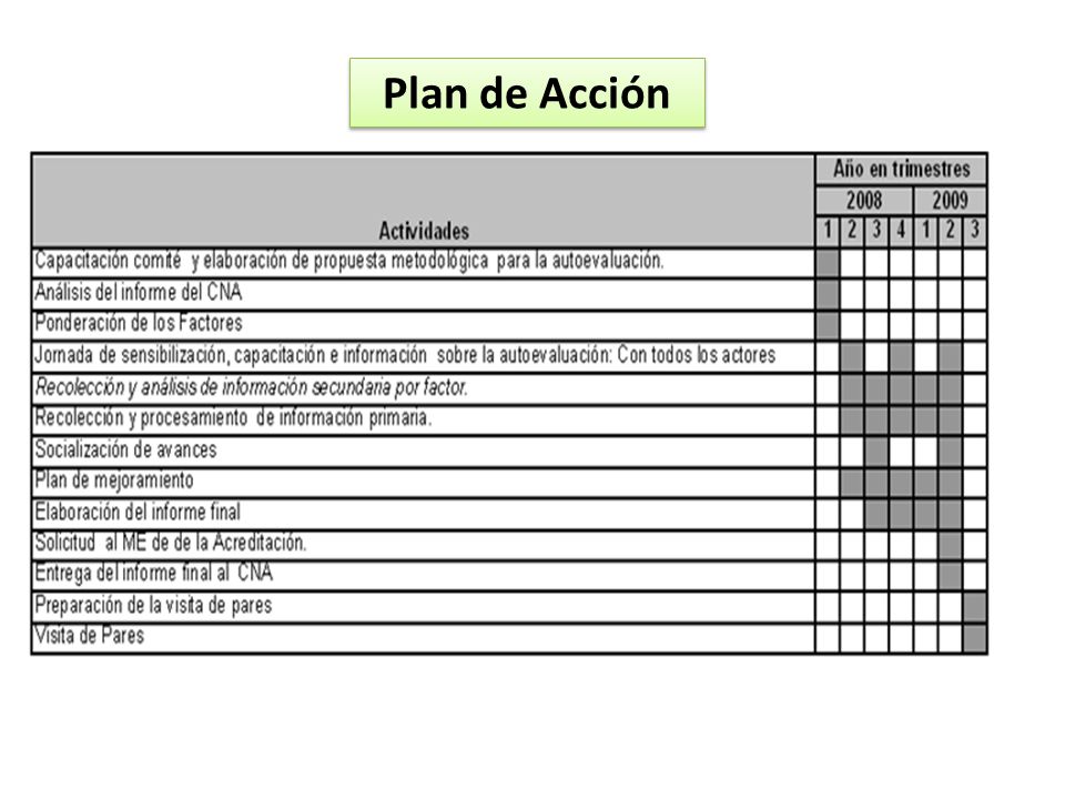 Plan de Acción