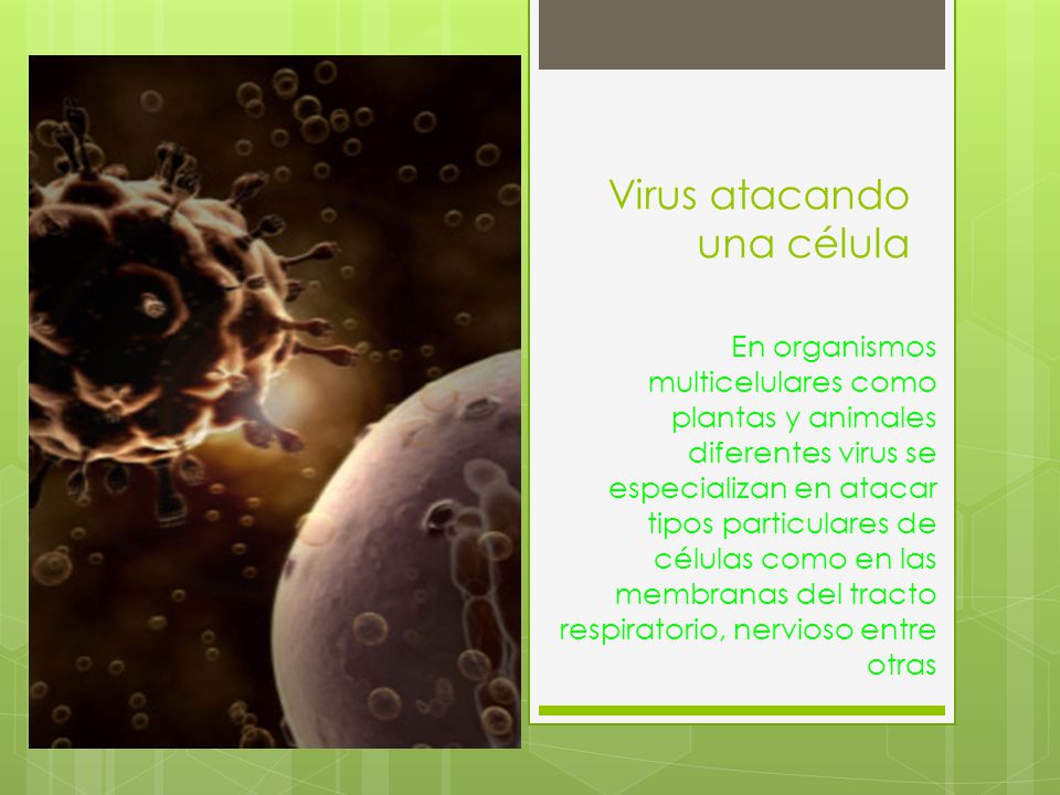 Virus atacando una célula