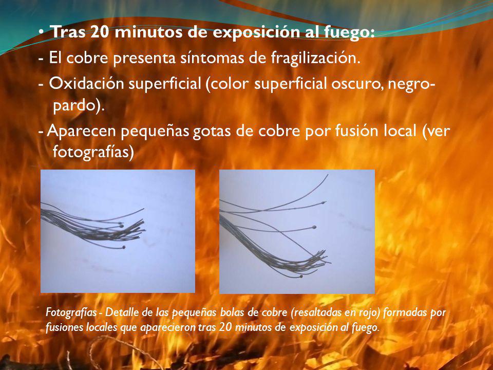• Tras 20 minutos de exposición al fuego: - El cobre presenta síntomas de fragilización. - Oxidación superficial (color superficial oscuro, negro-pardo). - Aparecen pequeñas gotas de cobre por fusión local (ver fotografías)