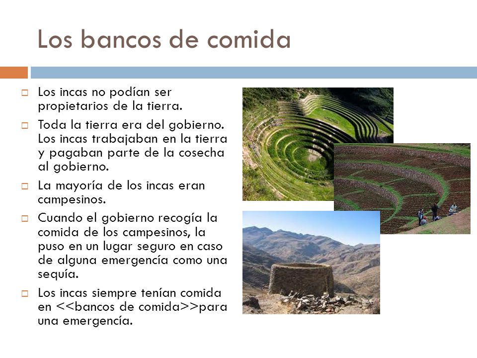 Los bancos de comida Los incas no podían ser propietarios de la tierra.