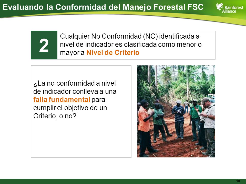 Evaluando la Conformidad del Manejo Forestal FSC