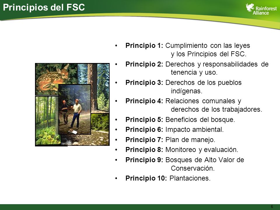 Principios del FSC Principio 1: Cumplimiento con las leyes y los Principios del FSC.