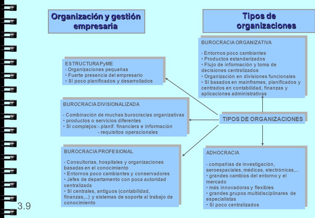 Tipos de organizaciones