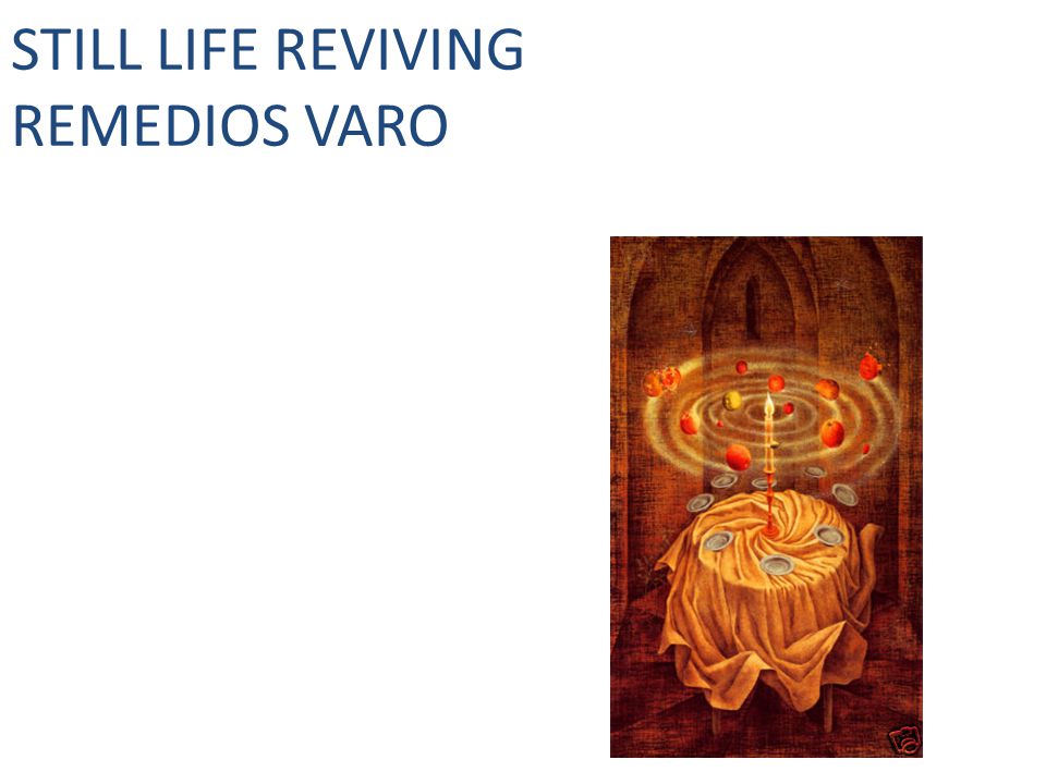 Still Life Reviving Remedios Varo