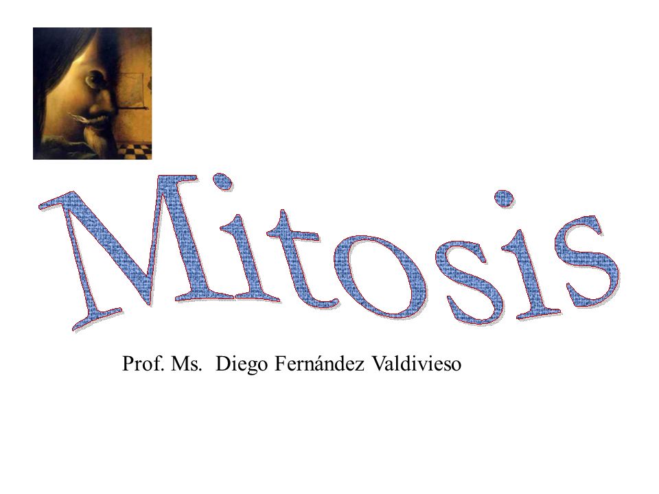 Prof. Ms. Diego Fernández Valdivieso