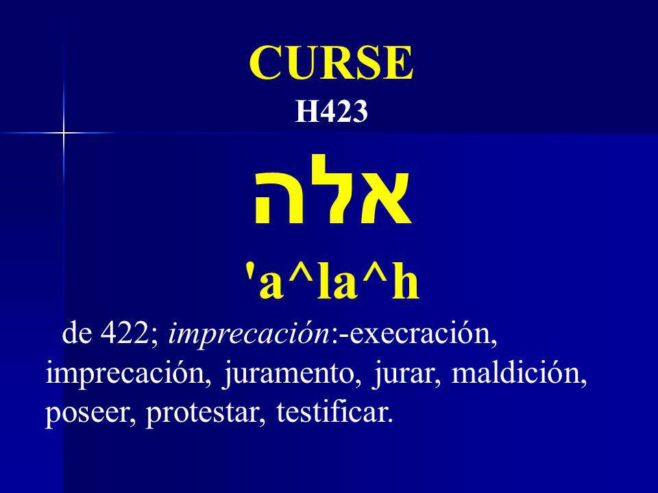 CURSE H423. אלה. a^la^h.