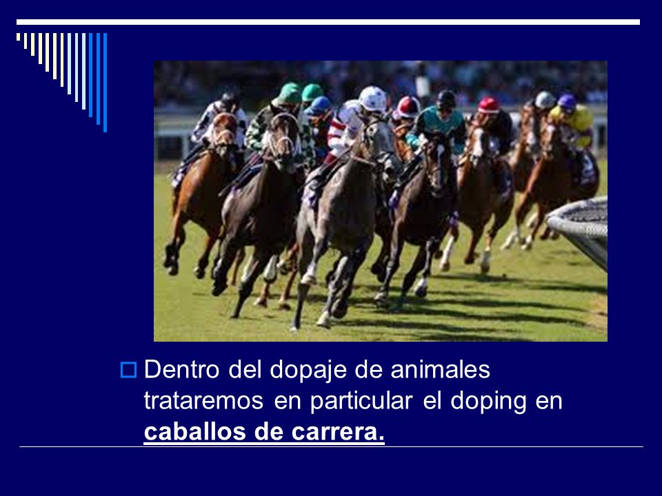 Dentro del dopaje de animales trataremos en particular el doping en caballos de carrera.