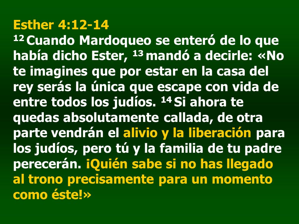 Esther 4: Cuando Mardoqueo se enteró de lo que había dicho Ester, 13 mandó a decirle: «No te imagines que por estar en la casa del rey serás la única que escape con vida de entre todos los judíos.
