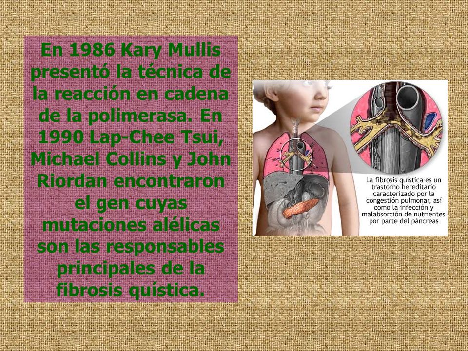 En 1986 Kary Mullis presentó la técnica de la reacción en cadena de la polimerasa.