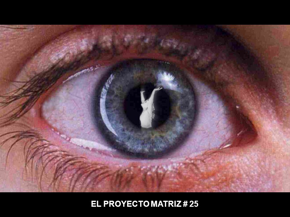 EL PROYECTO MATRIZ # 25
