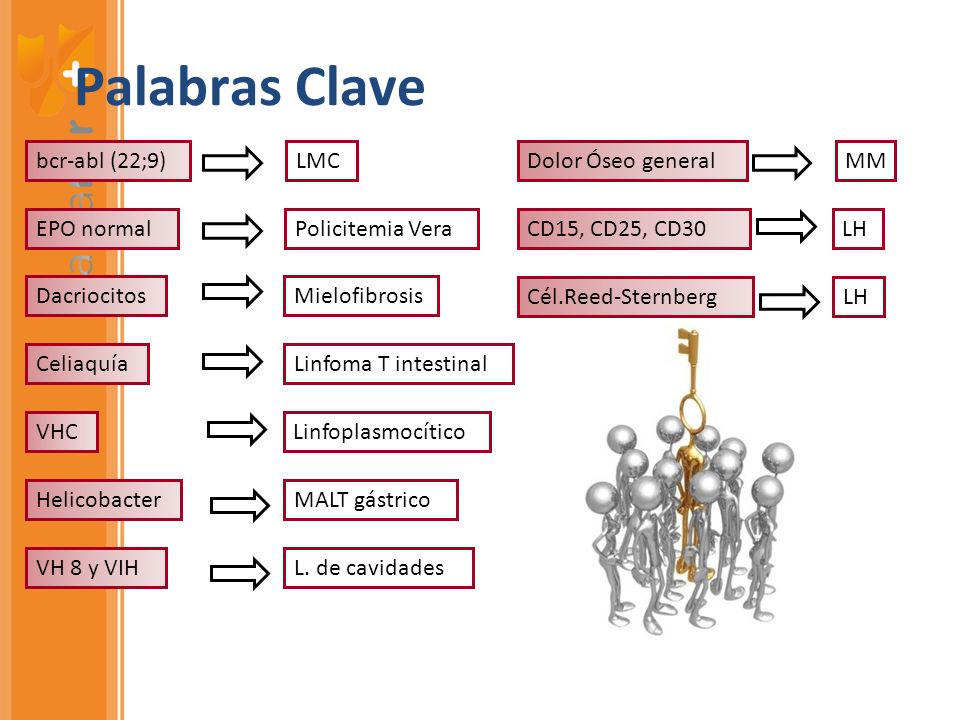 Palabras Clave bcr-abl (22;9) LMC Dolor Óseo general MM EPO normal